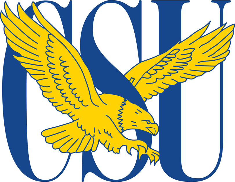 Coppin State Eagles 2004-2016 Primary Logo iron on paper